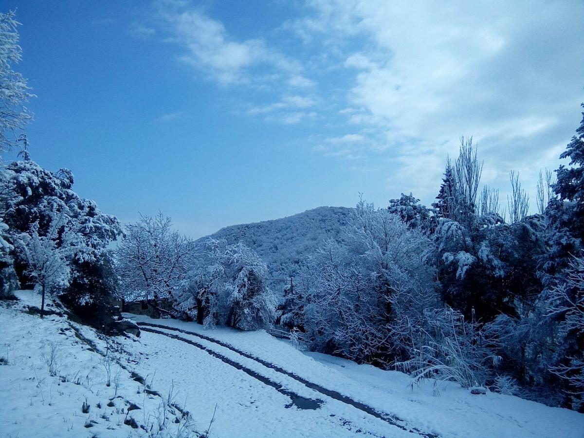 Mas Pardas Santa Pau Bagian luar foto