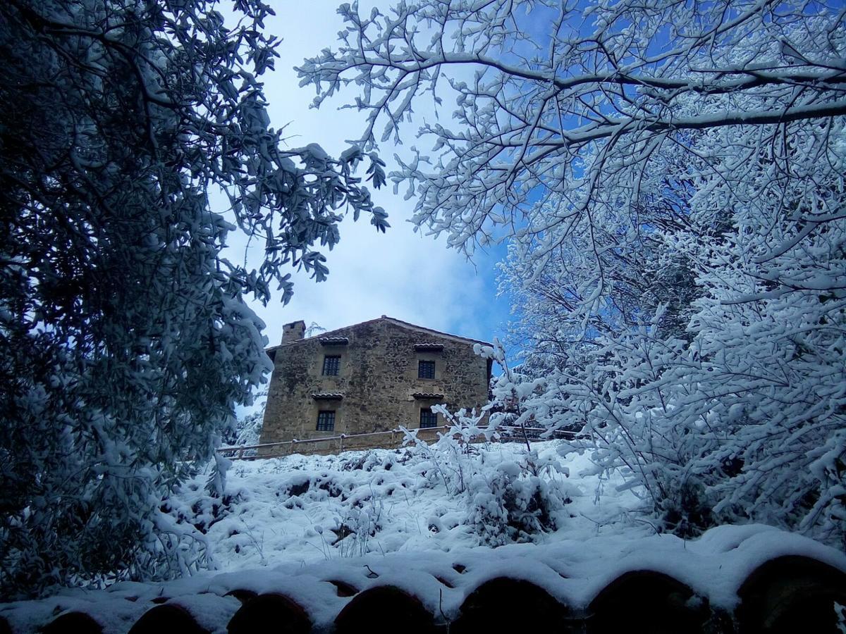 Mas Pardas Santa Pau Bagian luar foto