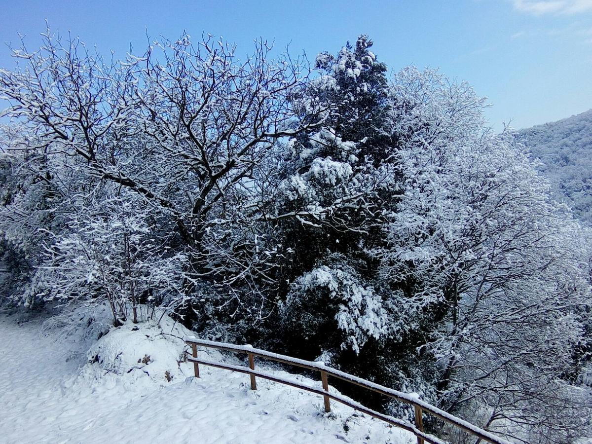 Mas Pardas Santa Pau Bagian luar foto